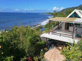 Ohana Beach Hostel Bungalows & dortoir – hotel w mieście Afaahiti