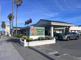 Bermuda Palms Hotel
