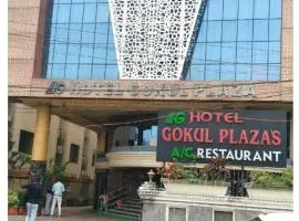 Hotel Gokul Plaza Near Railway Station Bhubaneswar