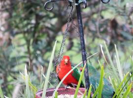Copeland Cabins, Hotel in Copeland