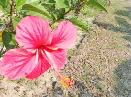 Bonolota Eco Villa, Hotel in Mongla