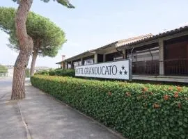 Hotel Granducato