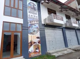 OSO DEL BOSQUE Hoteles