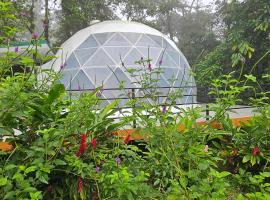 Rio Celeste Jungle Glamping, Hotel in El pilon