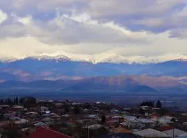 Hotel Horizont Telavi