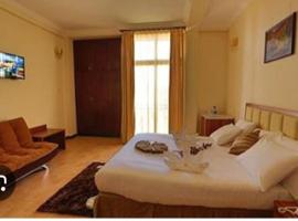Tana Royal suites Bahirdar Hotels โรงแรมในบาเฮอร์ดาร์