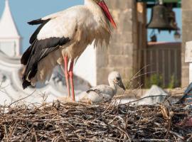 Hotel fotoğraf: Stork Hostel