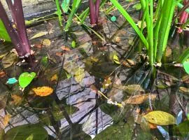 Bonny Hotel 4 Floors No Elevator