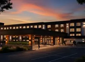 The Mindaro, part of JdV by Hyatt