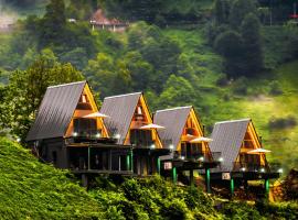 Danzi camping tiny house, hotel i Rize