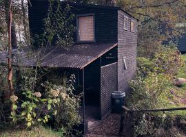 Tiny Houses CozCoz, hotel em Panguipulli