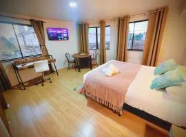 New Aloja Hotel-Frente al Shopping Mall