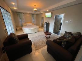 Joy Luxury Estate Villa、キングストンのホテル