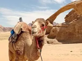 Wadi Rum Imperial Star Luxury Camp