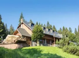 Horský hotel Vidly