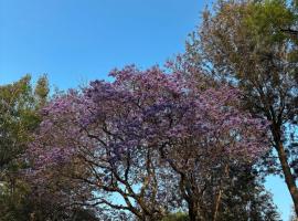 मैक्सिको सिटी में, होटल Fiesta Americana Reforma