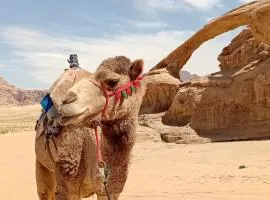 Wadi Rum Mars Royal Luxury Camp