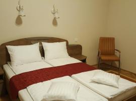 A picture of the hotel: Satu Mare Apartments