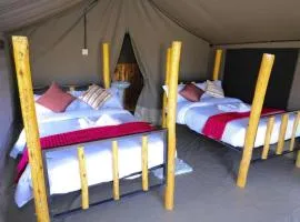 Wild Enthusiasts Camps