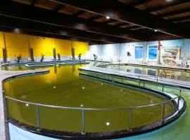 Manitou Springs Resort & Mineral Spa