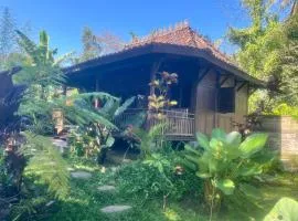 Svarga Uma - Bali Starling Conservation Center, Tabanan