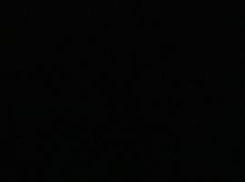 Hotel Braan Draculaa，布朗的飯店