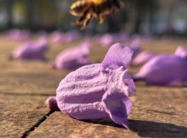 Fiesta Americana Reforma, hotell i Mexico by