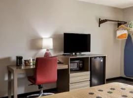 Econo Lodge Inn & Suites Canandaigua - Finger Lakes Area
