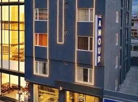 Hotel Amour Delhi Near by International Airport