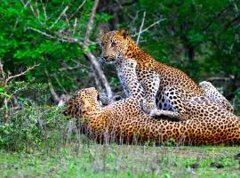 Yala Shenu Safari Inn & Budget Taxi Service