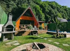 Vice Suit Bungalov