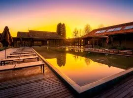 Pousada Fazenda Bom Retiro - Vinícola Thera