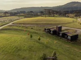 Pousada Fazenda Bom Retiro - Vinícola Thera