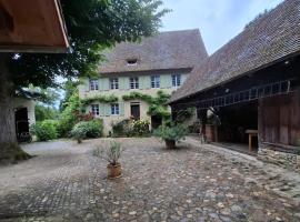Historische Mühle von Cramm, 7 Apartments, hotel i Ballrechten-Dottingen