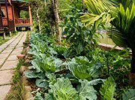 Sao La Homestay A Lưới