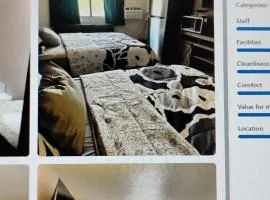 The suite