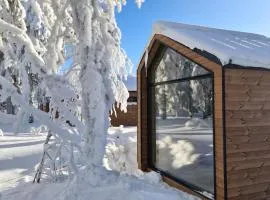 Arctic Nest