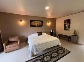Hotel del Bosque