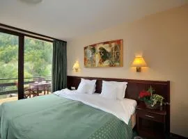 Zan Hotel Voineasa