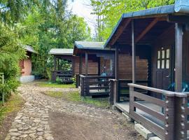 Bungalow Camping Edelweiss - Floare de colt - Gyopár, Hotel in Rimetea