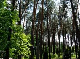 Заміський комплекс Lisovi Polyany