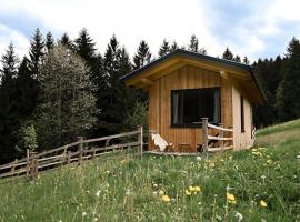 Ferienhaus "Moosgrün" - Tiny House Urlaub，位于Ybbsitz的酒店