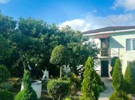 Green house Anaklia