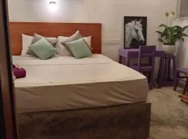 Agora Villa and Curry Hut