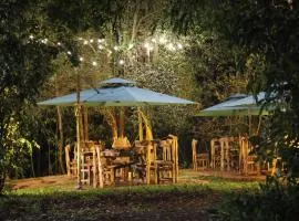 The Treetops Lodge