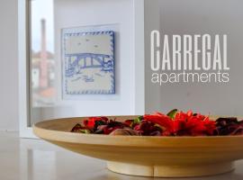 酒店照片: Carregal Apartments