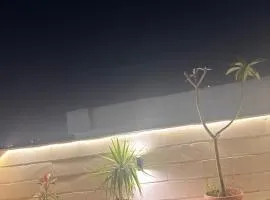 Pyramids Z