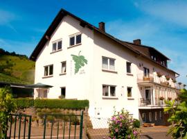 Hotel Foto: Weingut-Brennerei-Gästehaus Emil Dauns