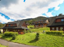 Drevenica Desina, hotel v destinaci Terchová