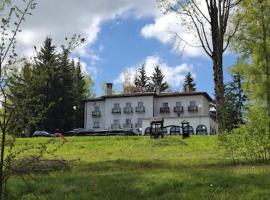 Hotel Vlasina - Vlasinsko jezero, отель в городе Lujinska Mala